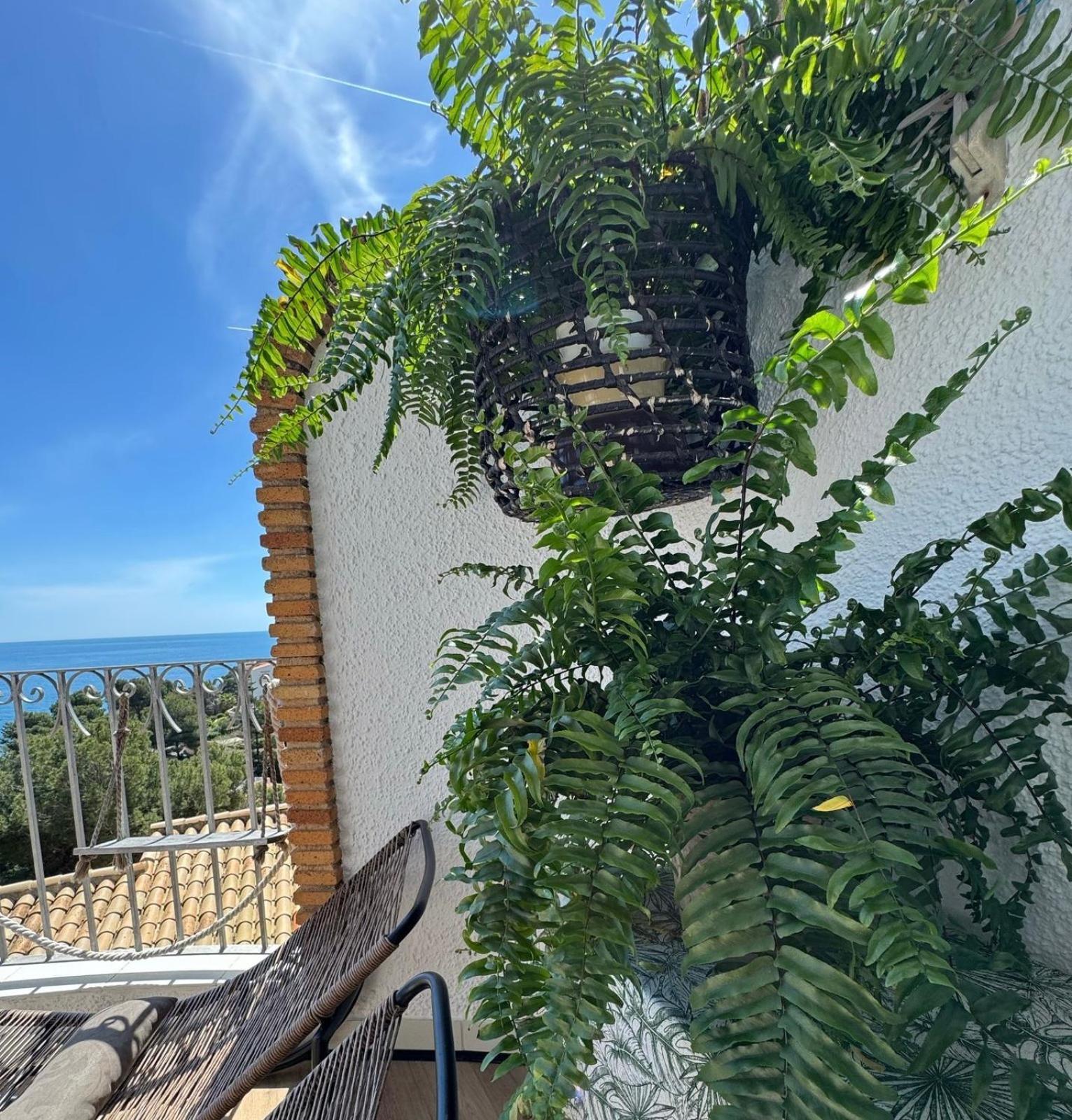 Casa Halcon Apartment ฮาเวอา ภายนอก รูปภาพ